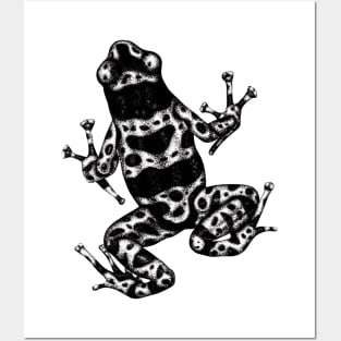 Bumblebee poison frog Posters and Art